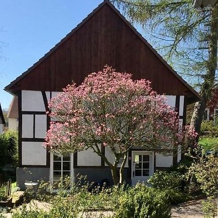 Gemuetliches Ferienhaus Im Extertal/ Lippe Exterior foto