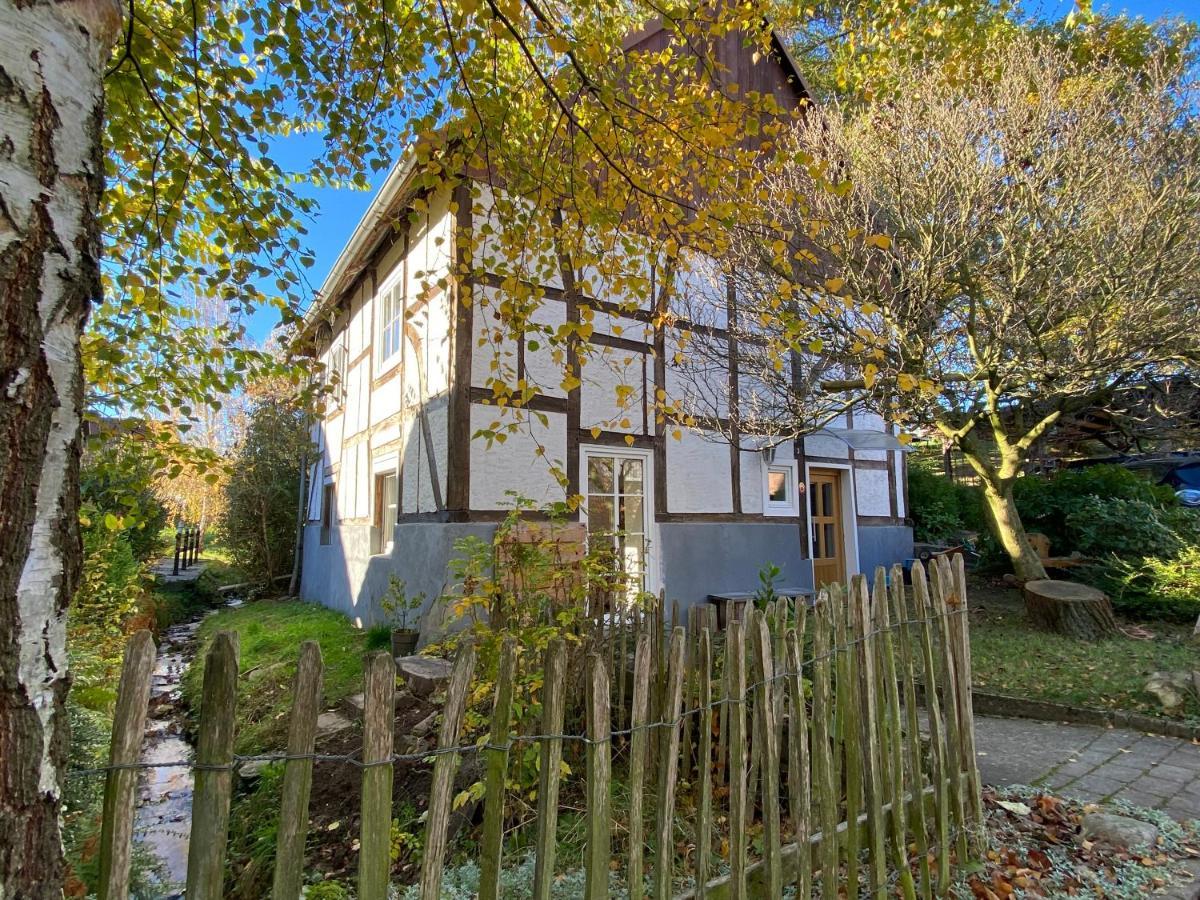 Gemuetliches Ferienhaus Im Extertal/ Lippe Exterior foto